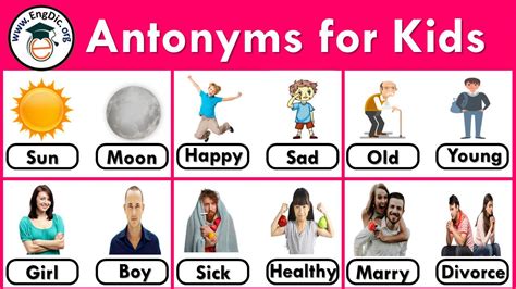 website for antonyms.